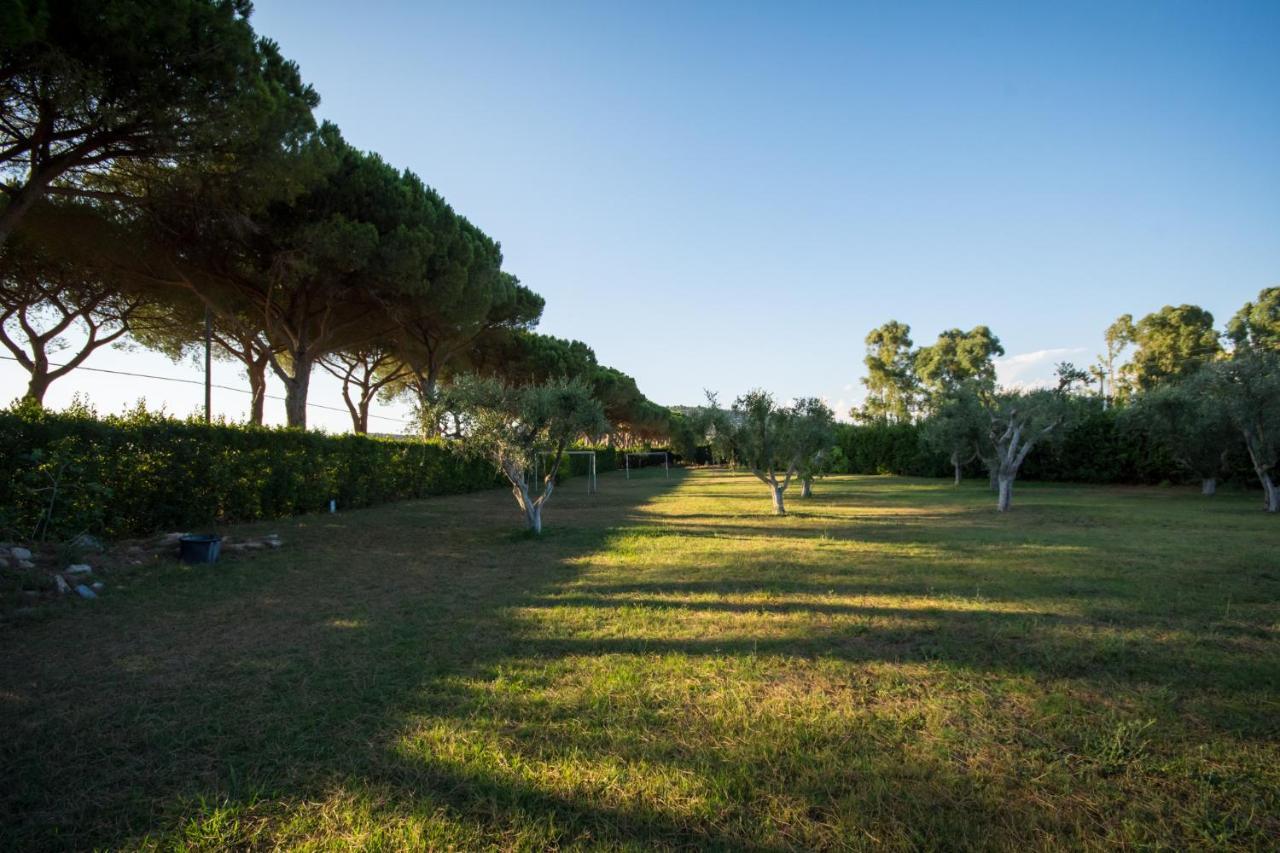 Villa Degli Ulivi Capalbio Exterior photo